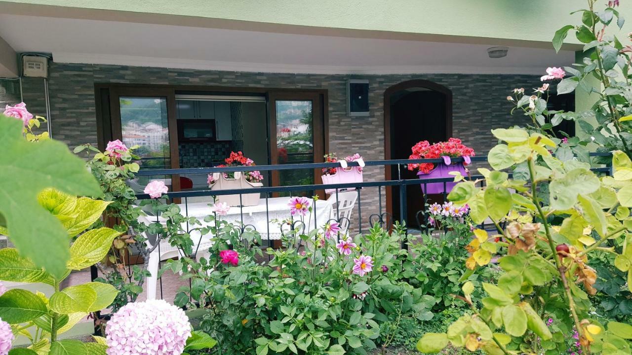 阿玛斯拉 波兹特佩旅馆酒店 外观 照片
